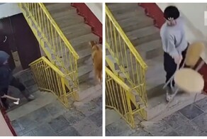 Принес охотничий топор и табуретку: неравная битва разъяренного тюменца с камерой