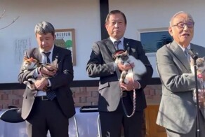 Новая кошка-смотритель на станции Кинокава  вступила в должность