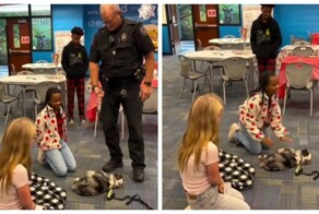 В США пёсик «оживает» только после идеального массажа сердца