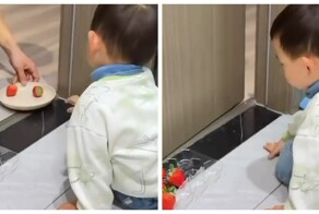 Мама объяснила сыну, как работают инвестиции — с клубникой наглядно