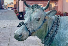 Турра Ку – бурёнка, ставшая символом сопротивления