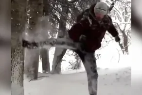 Американец проверил дерево ударом — и получил снежный ответ
