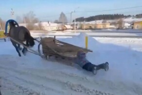 Лошадь протащила ребенка по снегу во время катания на санях