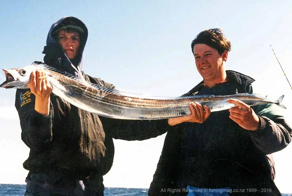 Рыба-сабля: её тело словно отлито из металла