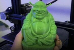 Филиппинка четыре года поклонялась Шреку