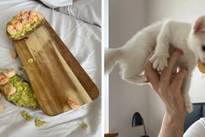 17 провальных фотографий от людей, которые в этот день вытащили у судьбы неудачный билет