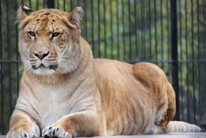 10 фактов, которые заставят пошатнуться ваши привычные представления о мире