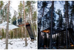 В Швеции сдают «невидимый» куб на дереве