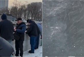 Во Владивостоке на Корабельной набережной  нашествие рыбы — люди уносят полные ведра добычи