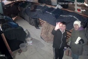 Ночные любители лука