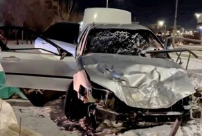 Проткнуло металлическим забором