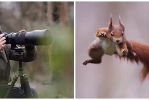 Прыжок белки-ниндзя