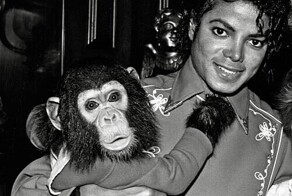 8 знаменитостей, решившихся завести экзотических питомцев