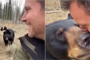 Черная медведица не забыла своего спасителя