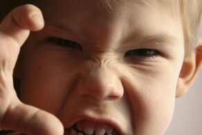 Школьник оскорбил учителя