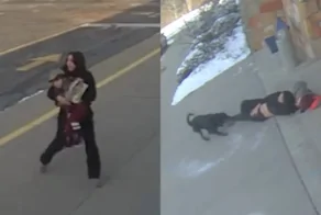 Ротвейлер напал на женщину возле начальной школы в США