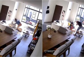 Когда домашние игры идут не по плану