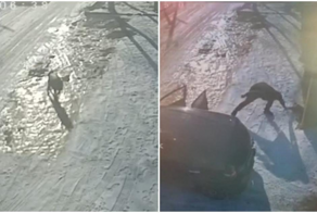 Мужчина застрелил собаку, чтобы позже съесть ее