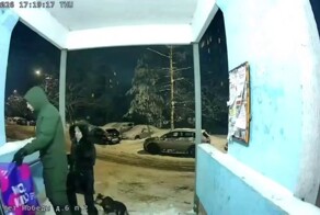 «Сваливаем, ты была хорошая»: хозяева привязали щенка у подъезда и оставили на морозе в Нижнем Новгороде