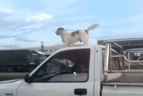 Просто гифки, всякие и&nbsp;разные