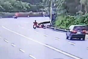 Обезьяна на скоростной автостраде устроила курьезное ДТП