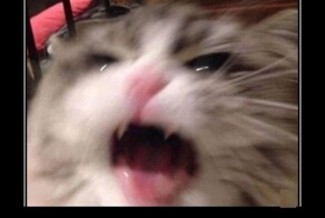 Забавные демотиваторы