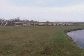 Просто гифки, всякие и&nbsp;разные