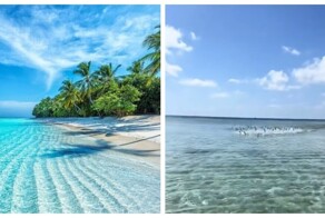 Рыбы напугали девушку на Мальдивах