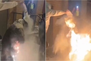 В Москве зумеры случайно подожгли именинницу во время поздравлений