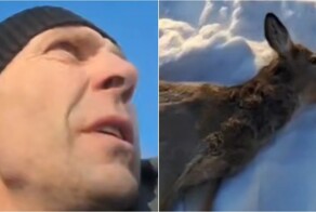 В Новосибирской области рыбак спас умирающую от холода косулю