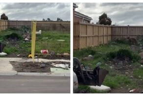 Почему австралийцы ставят высокие заборы