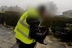 Курьер украл кошку клиента и попал на&nbsp;видео