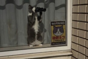 Лучшая система видеонаблюдения