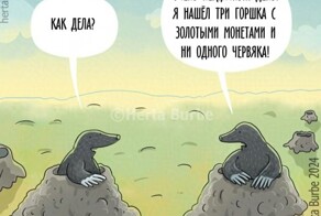 Скрины из соцсетей