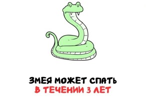 А вдруг ты не знал…