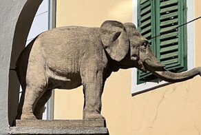 Слон в нише: история о самом первом слоне Граца
