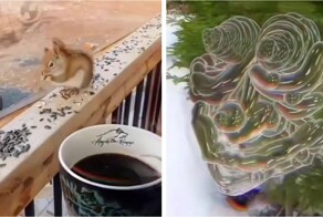 Симулятор, демонстрирующий, как человек с шизофренией может воспринимать окружающий мир