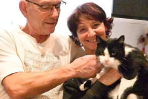 Кот потерялся во время отдыха в Испании и сам дошёл до дома во Франции