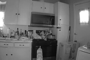 Кот устроил пожар на кухне