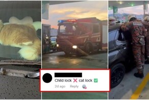 Хозяйке пришлось вызывать пожарных из-за кошки, случайно запершейся в машине