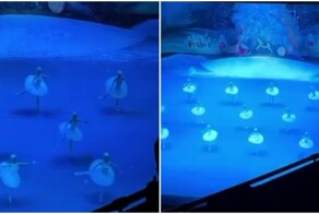 Слово из трёх букв было замечено на сцене Большого театра