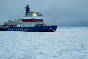 Белый медведь осмотрел ледокол