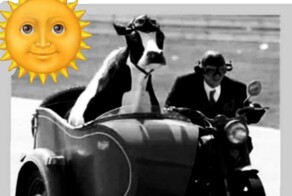 Большая тарелка улыбатора