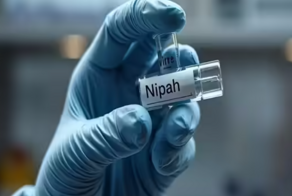 Вирус Нипах в Индии: почему локальная вспышка не станет новой пандемией