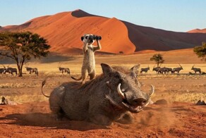 Тимон и Пумба в африканском заповеднике