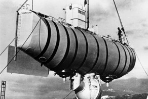 Самый глубоководный многоклеточный организм на Земле