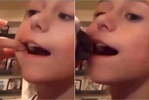 Попугай-стоматолог: птица сама вырвала ребёнку молочный зуб