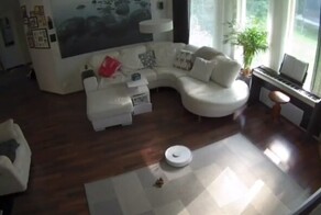 Собачий сюрприз: робот-пылесос и уборка по расписанию