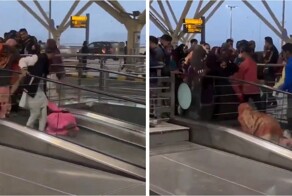 Первые попытки мигрантов освоить эскалатор в Ирландии