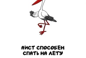 А вдруг ты не знал…